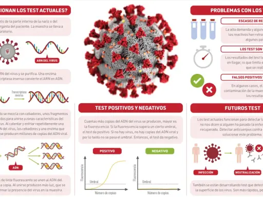 Ilustración explica cómo funciona un test PCR para detectar el ARN del virus, mostrando el proceso de amplificación y detección.
