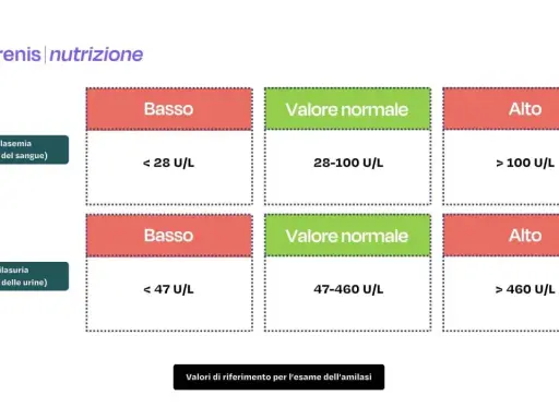 Valori di riferimento per l'amilasi: amilasemia (sangue) e amilasuria (urine). Indica se i valori sono bassi, normali o alti.