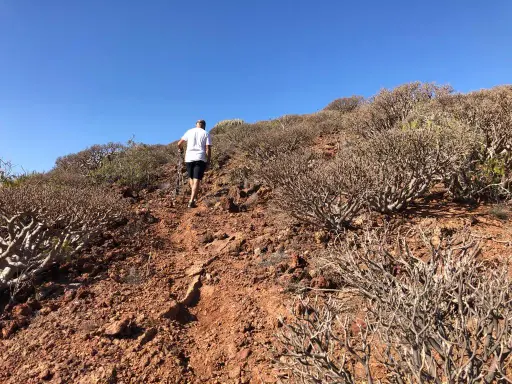 Montaña de Ifara y Los Riscos: Tu guía para la aventura volcánica en Tenerife