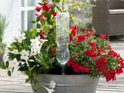 En kruka med vita och röda blommor, med en petflaska som bevattning.