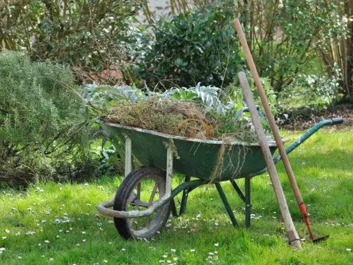 Brouette remplie de débris végétaux, à côté d'une houe et d'un râteau, sur un terrain envahi par les ronces et l'herbe folle.