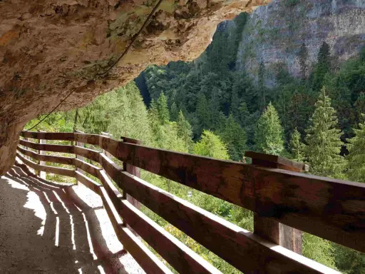 Sentiero scavato nella roccia con parapetto in legno, vista sulla valle boscosa di San Romedio.