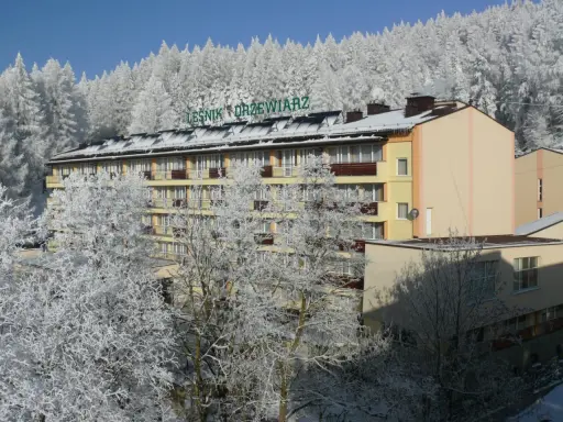 Sanatorium Leśnik Drzewiarz w Krynicy-Zdroju, ul. Podgórna 1, otoczone zimowym lasem.