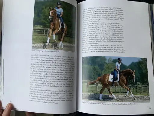 Reiterin mit braunem Pferd im Galopp, Dr. Klimke im leichten Sitz.
