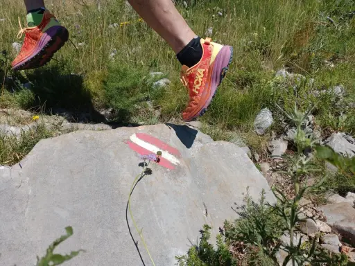 Biegacz w butach Hoka Speedgoat 6 pokonuje górski szlak, stawiając stopę na skale z oznaczeniem szlaku.