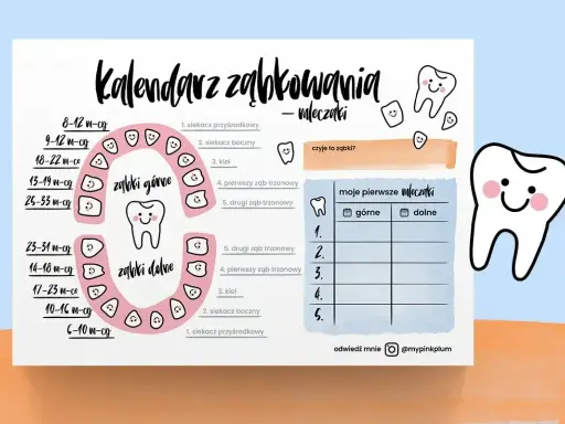Kalendarz ząbkowania mleczaków. Ilustracja pokazuje harmonogram wyrzynania się zębów, z uśmiechniętymi ząbkami.