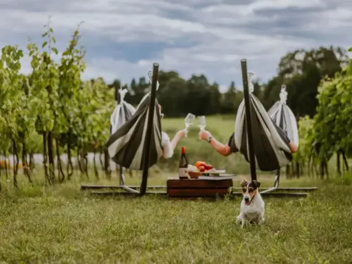 Relaks w winnicy z noclegiem: para w hamakach wznosi toasty, piesek pilnuje pikniku.