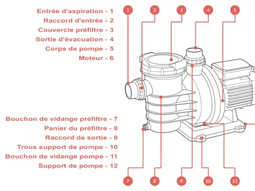 Schéma d'une pompe piscine surdimensionnée, montrant le corps, le moteur et les raccords d'entrée/sortie.