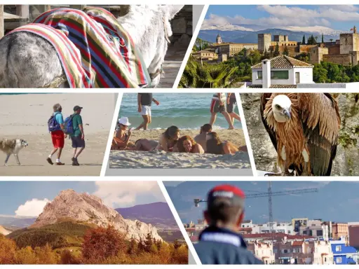 Bunte Collage mit Esel, Alhambra, Strandleben, Geier und Berglandschaft – typische Eindrücke für Spanien Ferien.