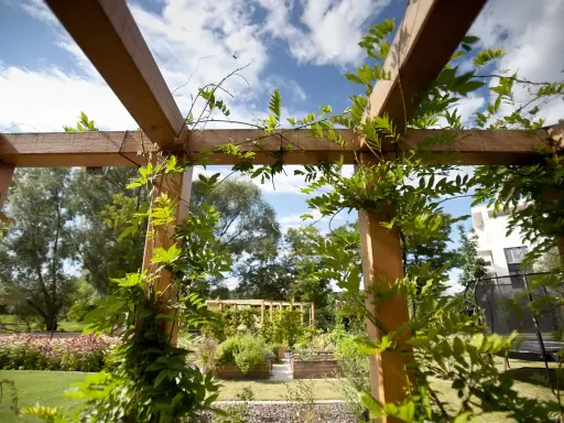 Drewniana pergola z pnączami, idealna do projektu oświetlenia ogrodu. W tle widać rabaty kwiatowe i budynek.