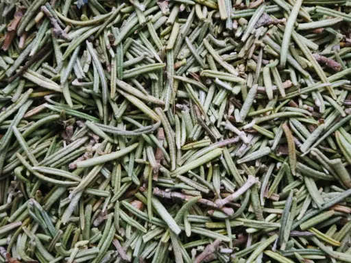 Gros plan sur des aiguilles de romarin séchées, idéales pour l'huile essentielle romarin mémoire posologie.