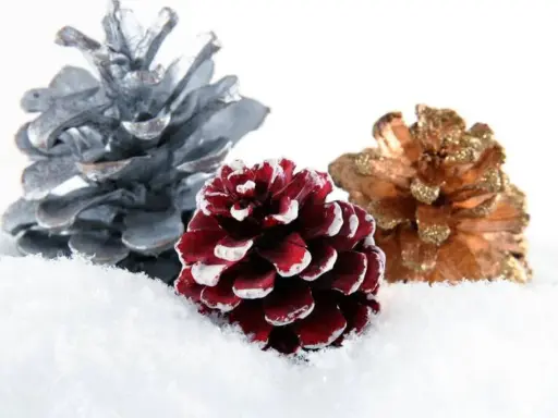 Piñas decoradas en tonos plateado, burdeos y dorado, cubiertas de nieve, evocan la magia del otoño y la anticipación de las fiestas.