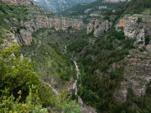 Impresionante cañón con paredes rocosas y vegetación exuberante, ideal para rutas senderismo La Rioja.