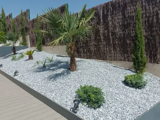 Jardines con piedras blancas, palmeras y cipreses, creando un oasis moderno y de bajo mantenimiento.