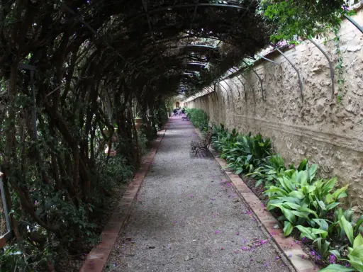Un sendero cubierto de vegetación en los jardines de Monforte, con bancos y flores moradas esparcidas por el camino.