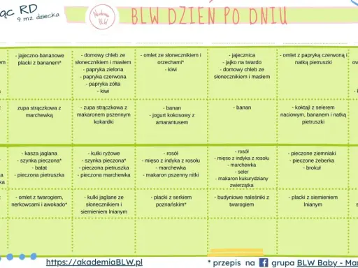 Jadłospis dla 9-miesięcznego dziecka: domowy chleb, zupy, placki, omlety i inne zdrowe posiłki.