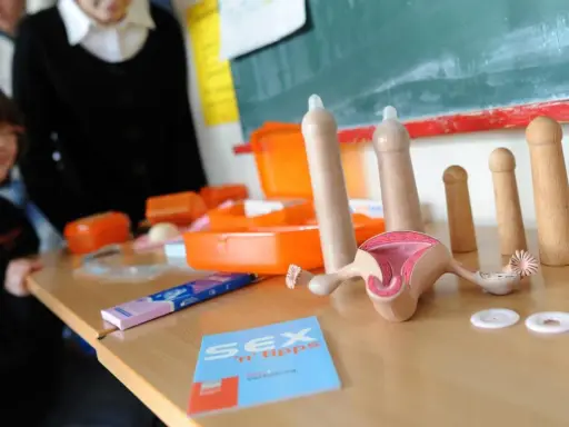 Modelle für Sexualkunde Klasse 6: Anatomie, Kondome und Aufklärungsmaterialien auf einem Tisch.