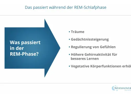 Die REM-Phase fördert Träume, Gedächtnis, Gefühlsregulation und Lernen. Ein tiefer Schlaf verbessert diese Prozesse.