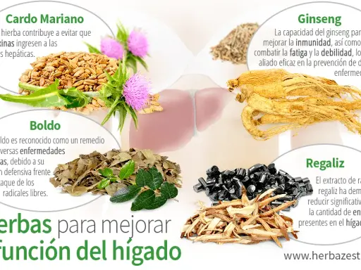 Remedios naturales para el hígado: ¿Son seguros y eficaces?