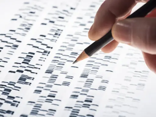 Dita che analizza un elettrofo gramma, uno strumento chiave nella biologia forense per identificare profili genetici.