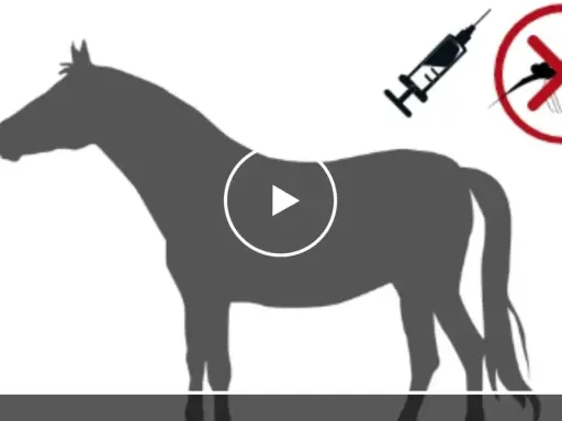 Silhouettenpferd mit Spritze und Mücken-Symbol. Mögliche Ursache für spinale Ataxie beim Pferd.