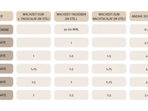 Tabelle zeigt Schlafbedarf für Babys: 2 Monate alt brauchen 1 Std. Tagschlaf, 1,5 Std. Nachtschlaf und 4-5 Schläfchen.