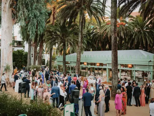 Invitados disfrutan de una boda tipo coctel al aire libre, rodeados de palmeras y eucaliptos. Un pabellón verde al fondo ofrece un espacio cubierto.