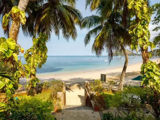 Rajska plaża na Madagaskarze, idealna na wakacje. Kiedy jechać? Najlepiej od kwietnia do grudnia, gdy jest sucho i słonecznie.