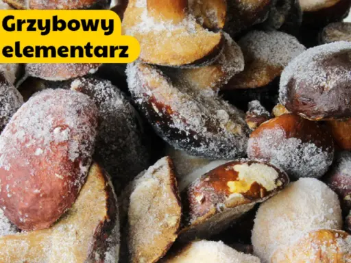 Grzyby gotowe do mrożenia, posypane cukrem pudrem. Dowiedz się, jak przygotować grzyby do mrożenia, by cieszyć się ich smakiem przez cały rok.