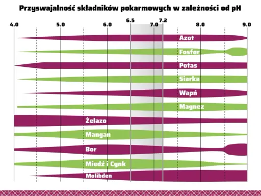Wykres pokazuje przyswajalność składników pokarmowych w zależności od pH. Np. ph kału 8 oznacza, że niektóre składniki są gorzej przyswajalne.