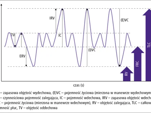 Wykres przedstawia spirometrię, badanie oceniające pojemność płuc. Pokazuje różne objętości oddechowe, takie jak TV, ERV, IRV, IC, RV, FRC, TLC i VC.
