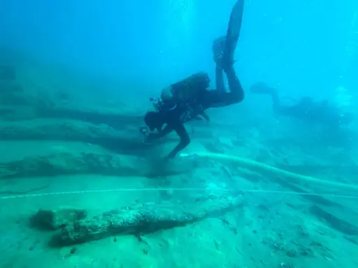 Subacquei esplorano un sito archeologico subacqueo, tra antichi resti di legno. Un'immersione per scoprire cosa vedere.