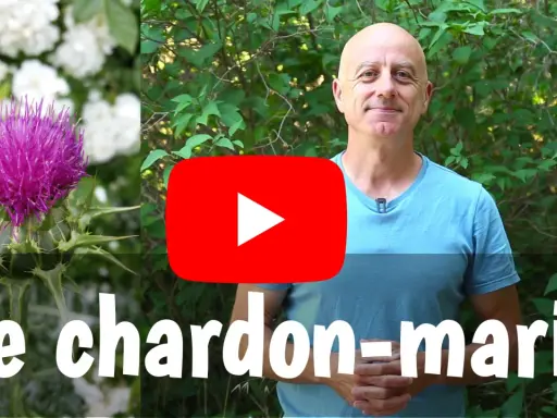 Un homme souriant devant un chardon-marie et des fleurs blanches. Le titre "Le chardon-marie" est affiché.