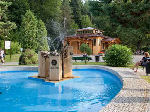 Uzdrowiskowy park w Rymanowie Zdroju z pijalnią i fontanną Celestyna. Sanatoria w tle.