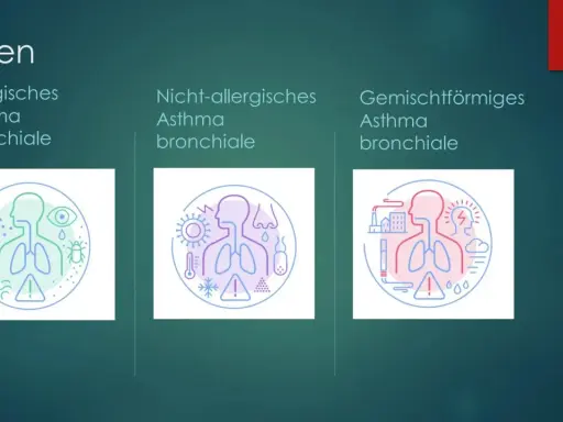 Arten von Asthma: allergisch, nicht-allergisch, gemischt. Illustrationen zeigen Auslöser wie Pollen, Viren, Kälte, Hitze, Umweltverschmutzung, die das Herz und die Lunge beeinflussen können.