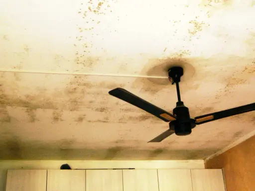 Soffitto con macchie di muffa, un ventilatore a soffitto nero. La muffa sul soffitto fa male alla salute.