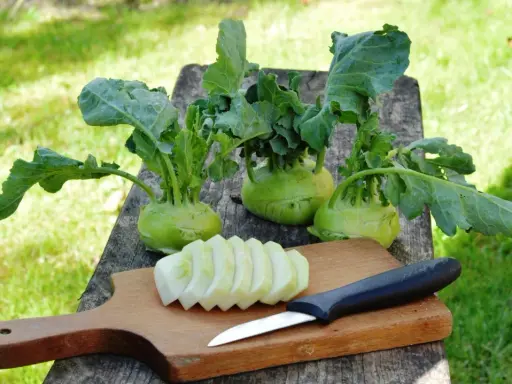 Frisch geernteter Kohlrabi liegt auf einem Holztisch. Ein Teil ist bereits geschnitten, bereit zum Kohlrabi blanchieren.