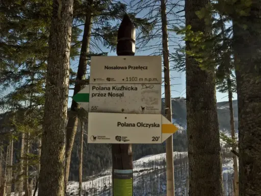 Droga przez las prowadzi na Nosalową Przełęcz (1103 m n.p.m.). Wskazówki kierują do Polany Kuźnickiej i Polany Olczyskiej.