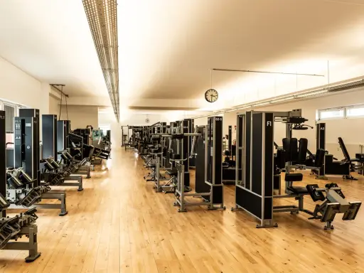 Reihe von Krafttrainingsgeräten in einem hellen Fitnessstudio. Ideal für Krafttraining bei Hexenschuss zur Stärkung der Rumpfmuskulatur.