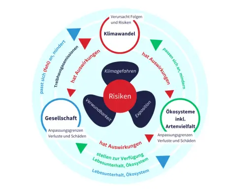 Kreislauf von Klimawandel, Risiken und Auswirkungen auf Gesellschaft und Ökosysteme. Zeigt, wie Anpassung und sozialer Ausgleich wichtig sind.
