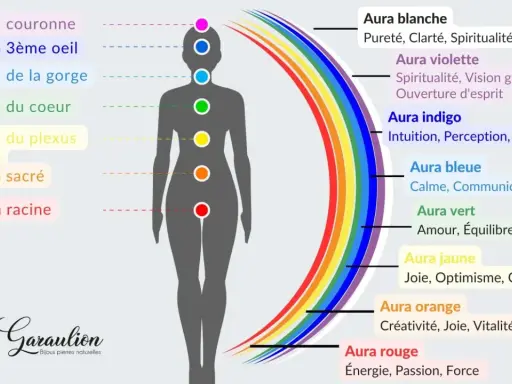 Diagramme des chakras et des couleurs de l'aura, de la couronne à la racine, avec leurs significations.