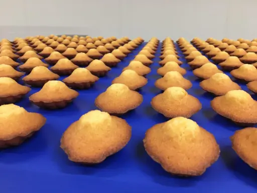 Des madeleines dorées, une spécialité de Caen, alignées sur un fond bleu.