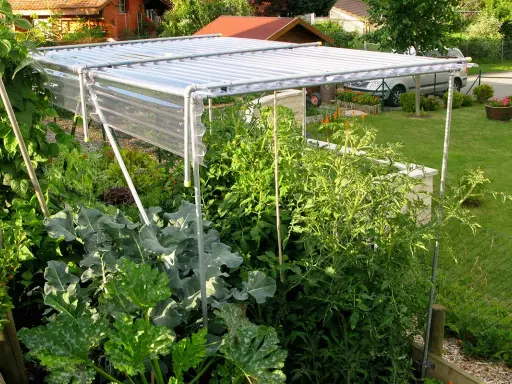 Un abri simple pour protéger vos tomates. Ce toit protège les plants des intempéries, idéal pour un jardin potager.