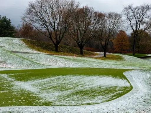 A golf course with patches of pink snow mold on the green grass, trees with bare branches, and a cloudy sky.