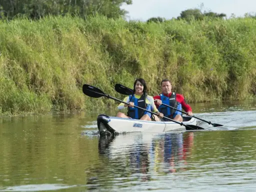 Zwei Personen paddeln in einem Kajak auf einem ruhigen Fluss, umgeben von üppigem grünen Ufergras. Sie genießen die Natur, vielleicht auf der Suche nach einem majestätischen Seeadler.
