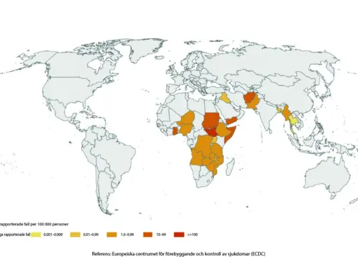 Världskarta som visar kolerafall per 100 000 personer. Mörka områden i Afrika och Asien indikerar högre smittspridning, vilket ger en bild av hur smittar kolera.