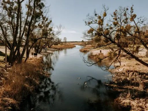 Spokojna rzeka, drzewa z jemiołą i trzciny. Idealne miejsce, by zastanowić się, gdzie na Mazury.