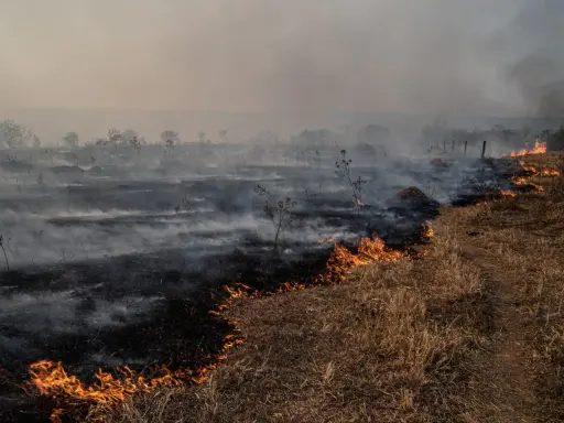 Metan gaz cieplarniany: 80x silniejszy od CO2. Co dalej?