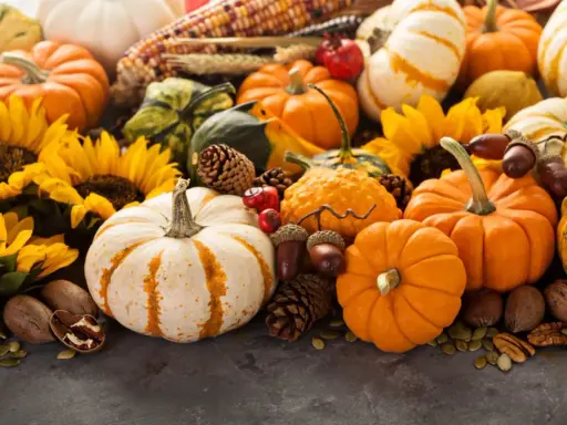 A festive autumn display featuring a variety of pumpkins, gourds, sunflowers, pinecones, acorns, and nuts.