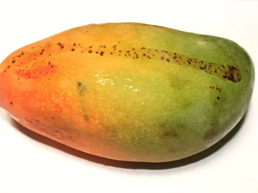 Soczyste mango, z pomarańczową i zieloną skórką, z kropkami, idealne, kiedy mango jest dojrzałe.